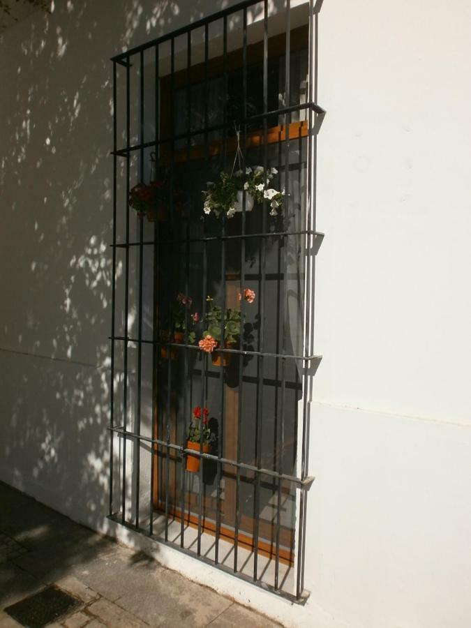 Casa En Plaza De La Merced_Centro Flamenco_Cadiz Exterior photo